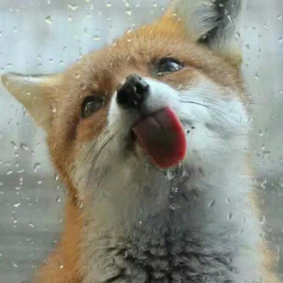 想个名字好难啊就这样吧