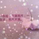 落叶t25