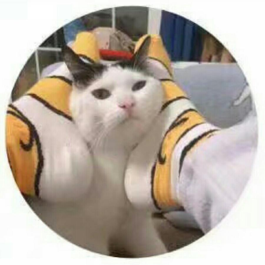 捕捉一只小兔🐰