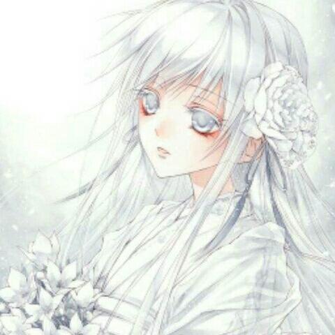 Angel----灵绮