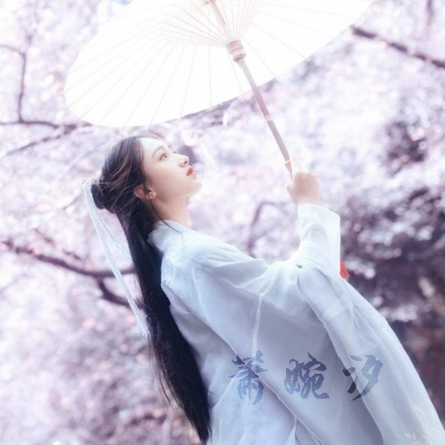 萧婉汐.