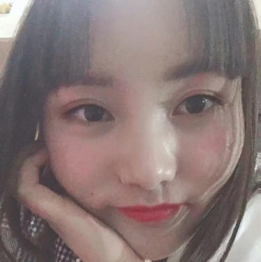爱旅游的猫