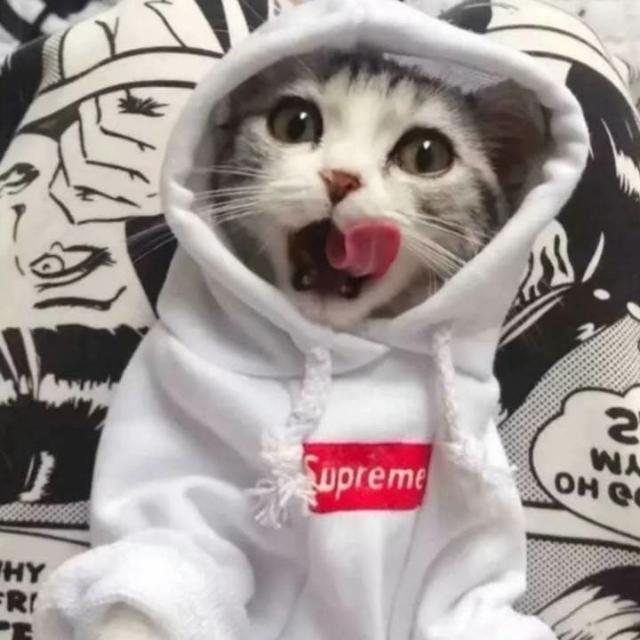 专情✘