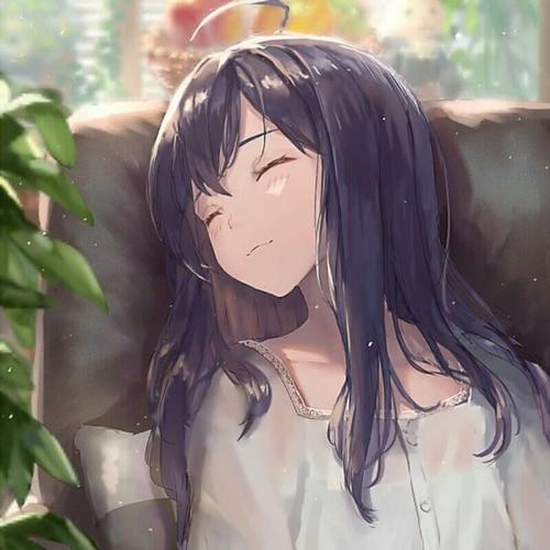 妮豆酱