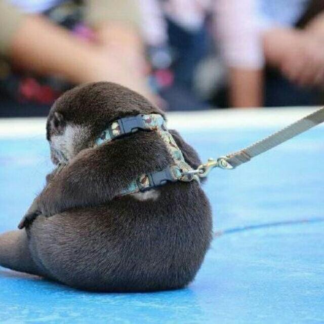 ！！？？？？？