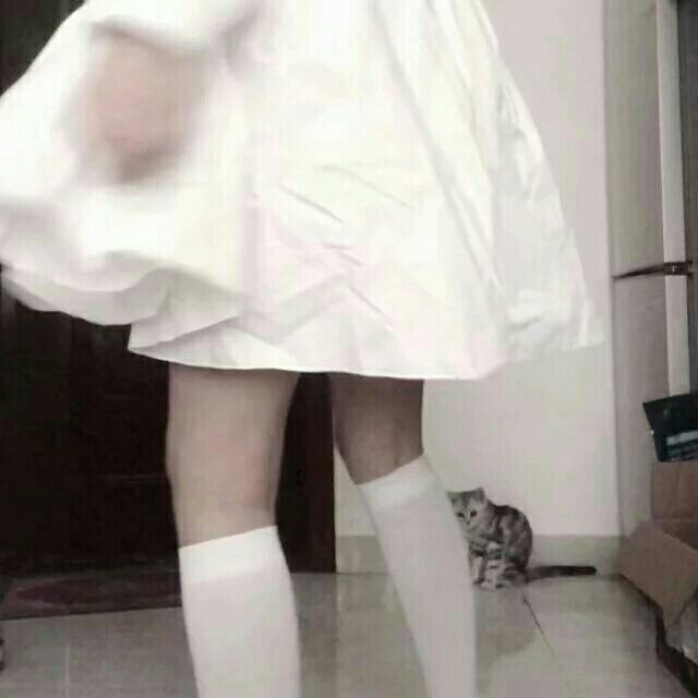 陈总l