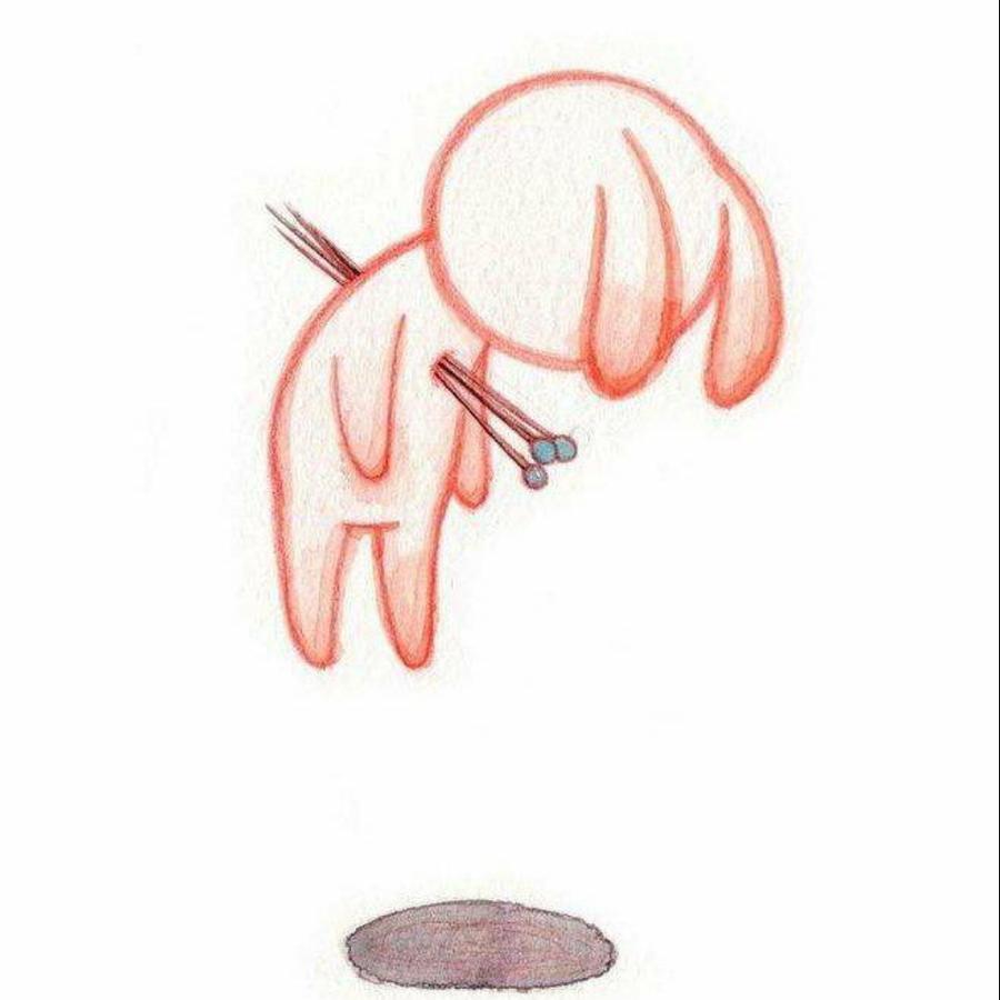猫咪是个铁憨憨