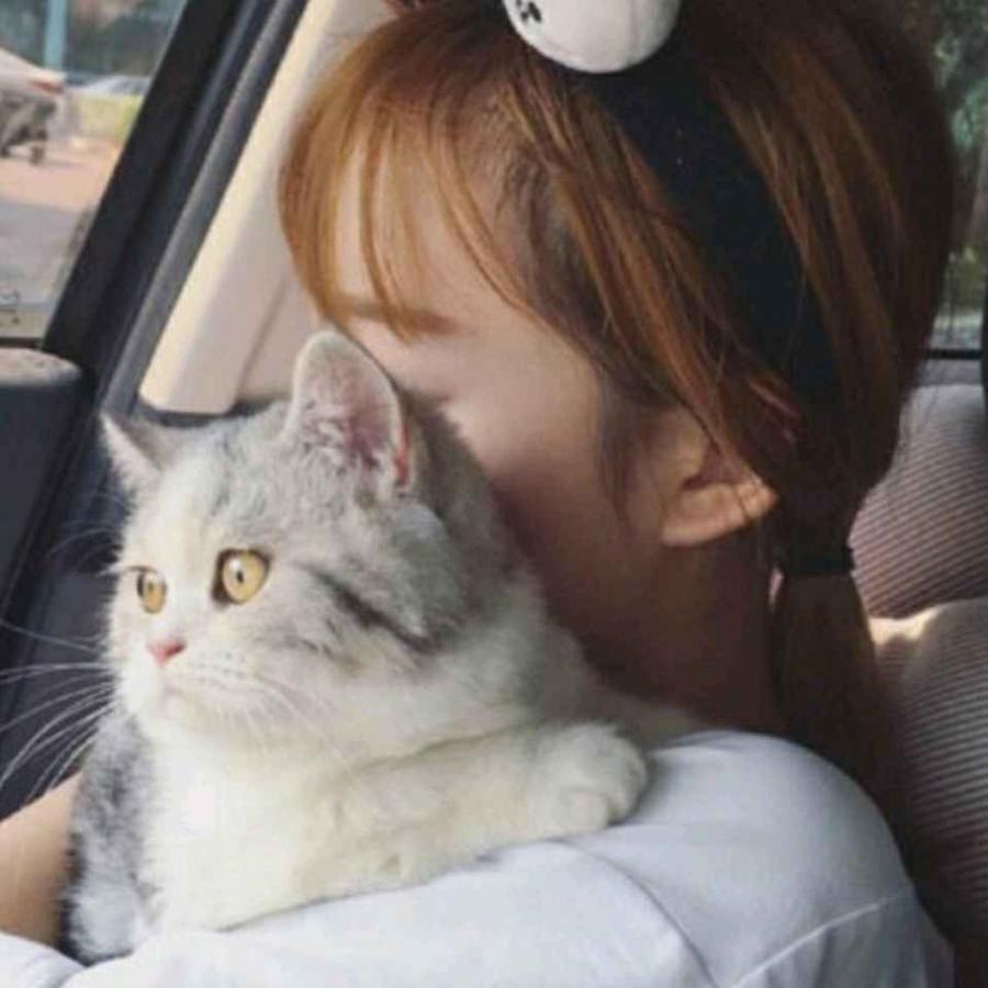 宛菡、