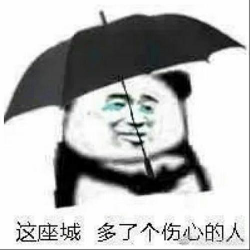 捕捉一只小夏