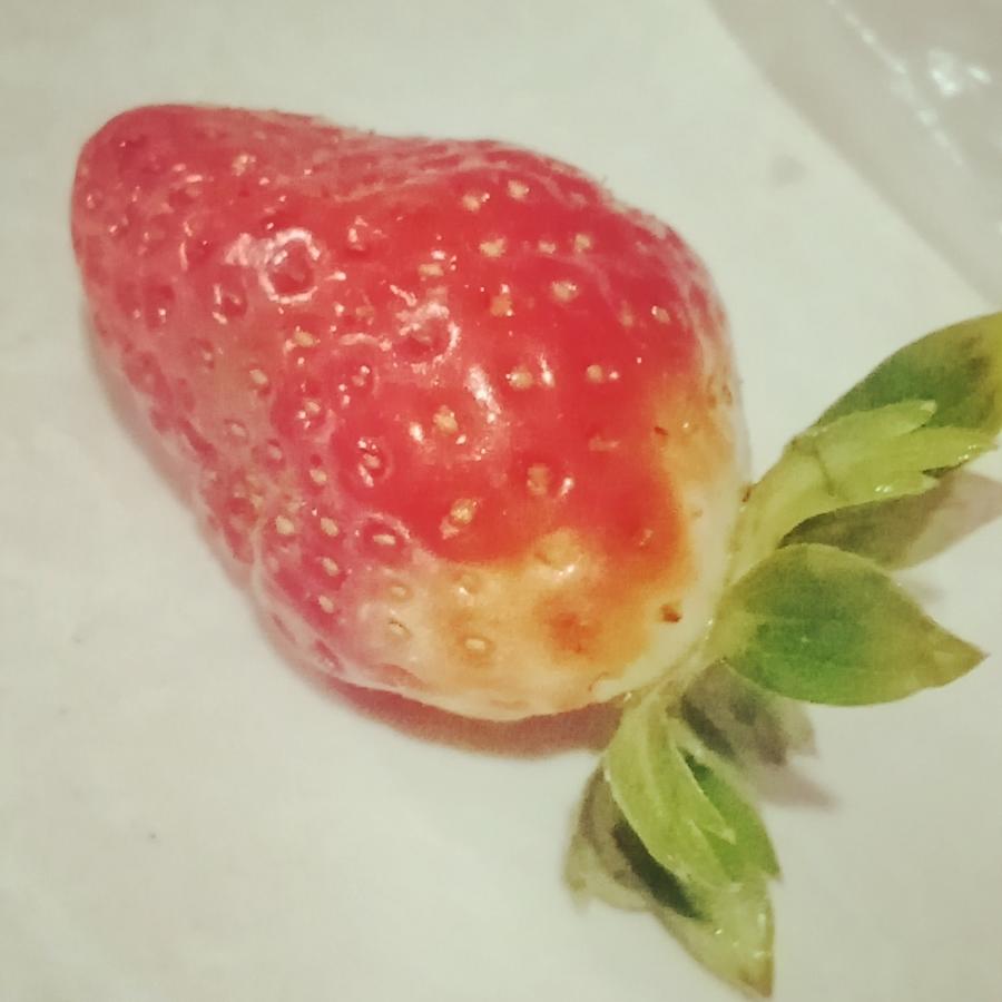 甜酱-