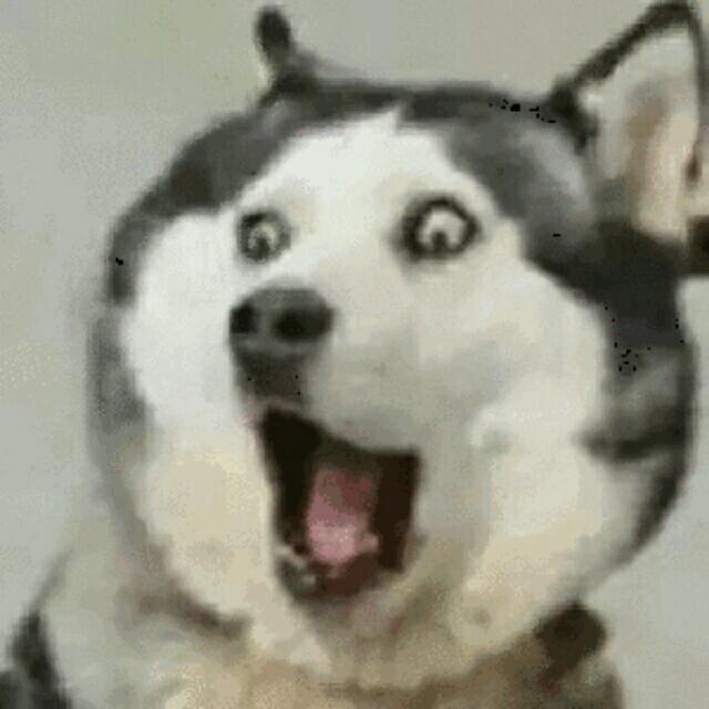 （坚强）