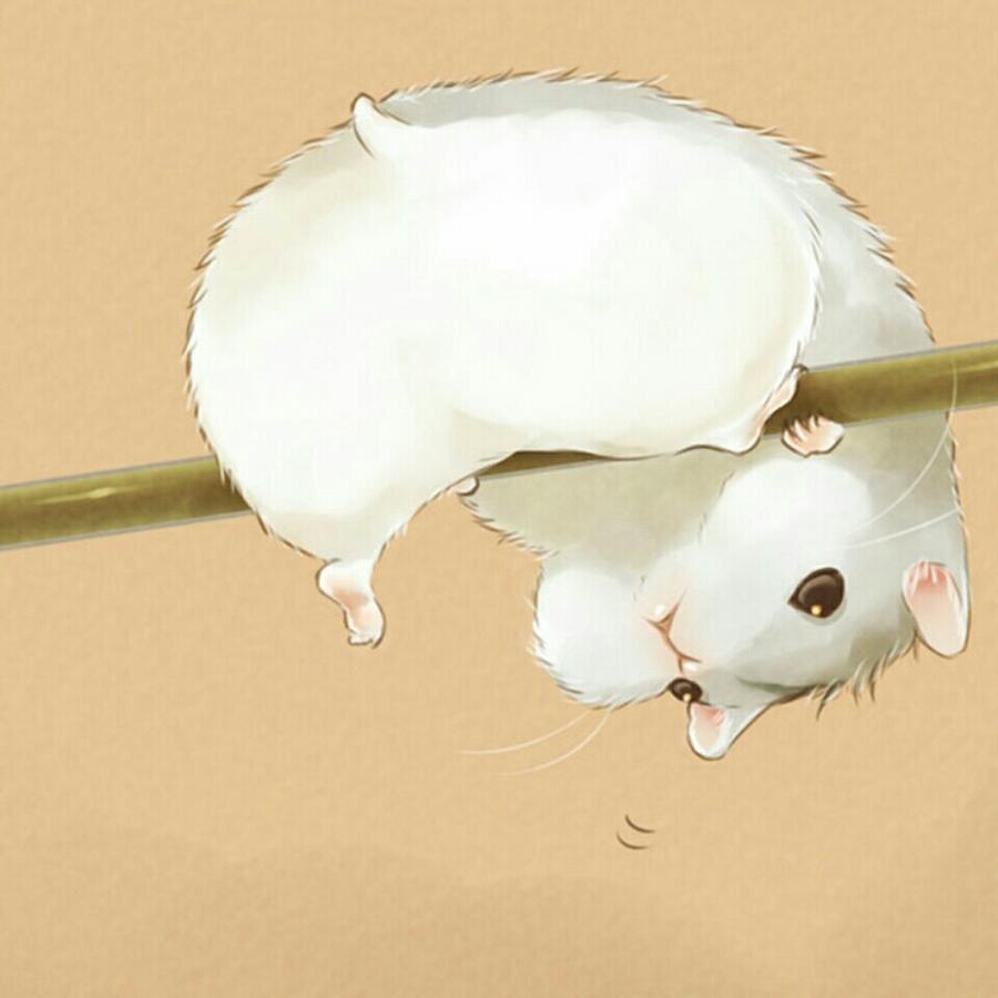王圣锋
