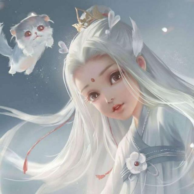 龙星雅