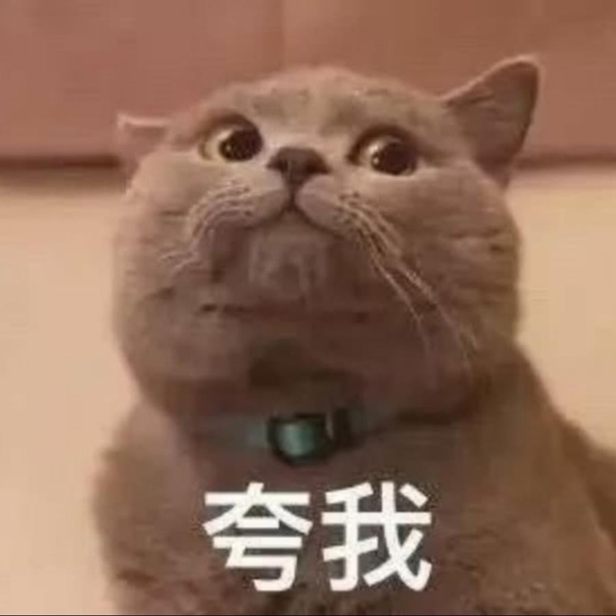 天秀的世界