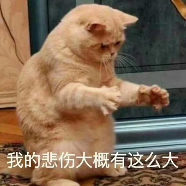 dd39236503