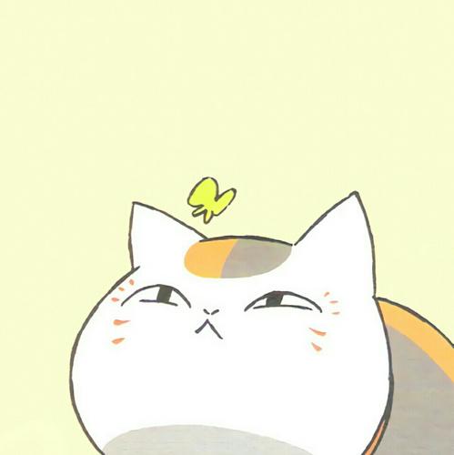 猫爪君