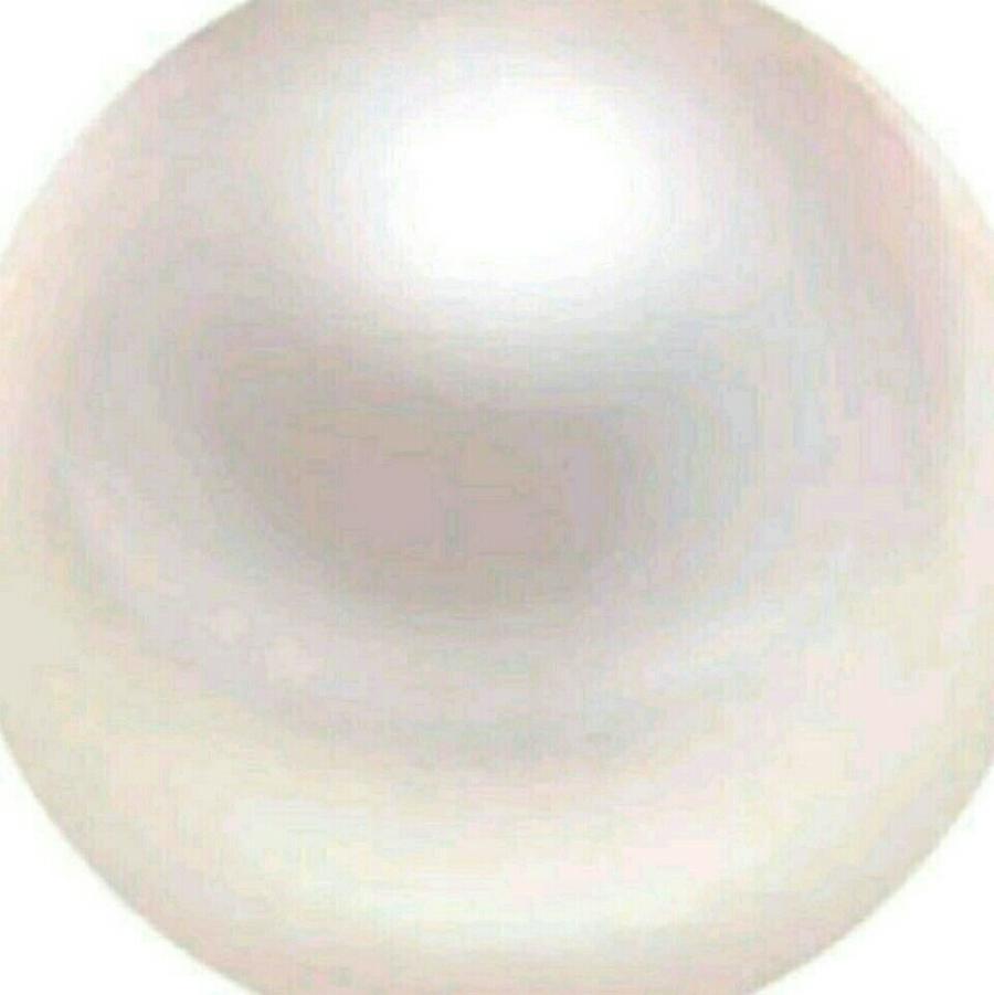 虫草花