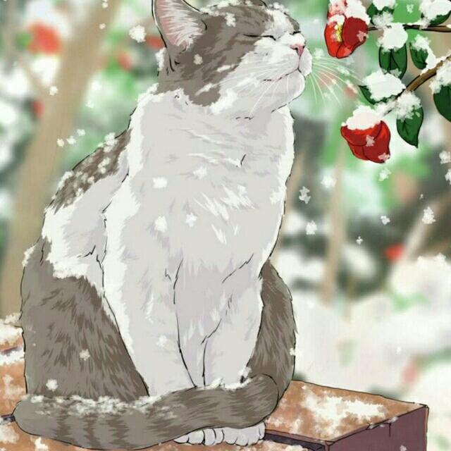[笙雪非寒]一只猫