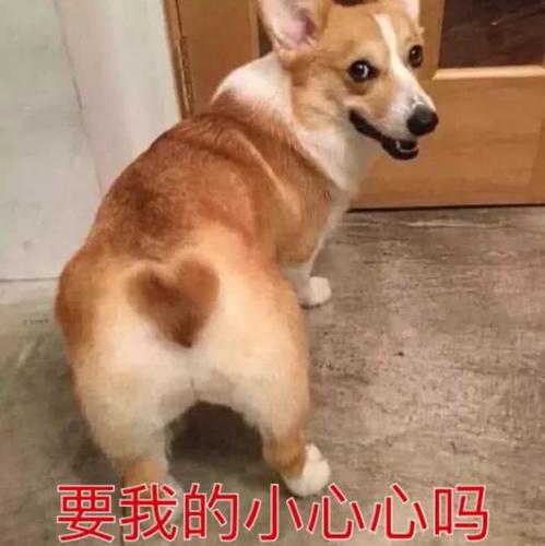 风中凌乱Vac