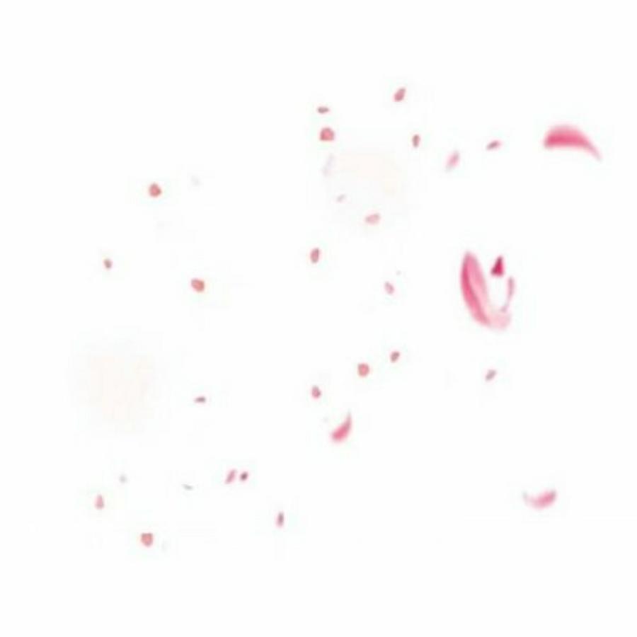 换个名字然后就这样