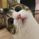 宛溪