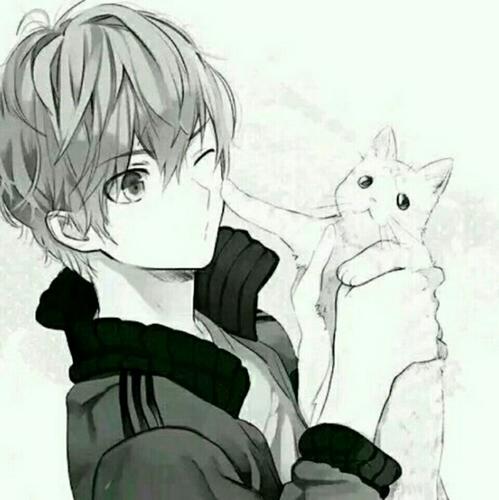 圭葉