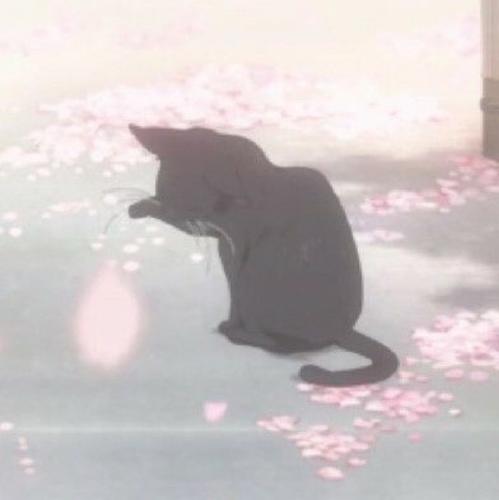 宝贝儿^