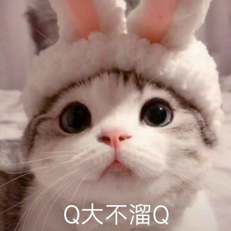 顾长轩