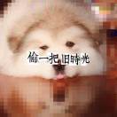 啊洋z9e