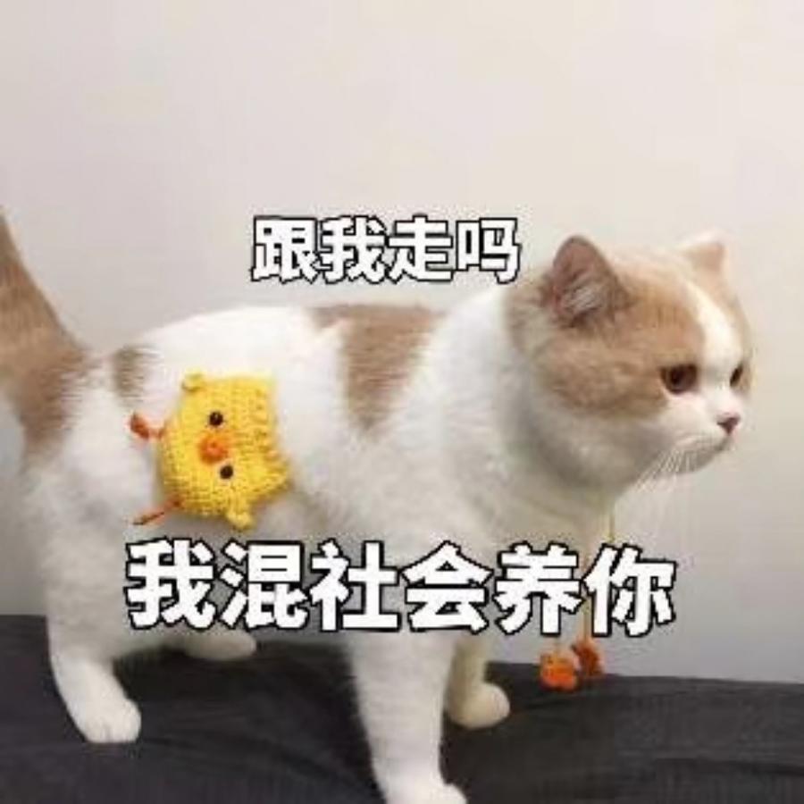 abyss酱