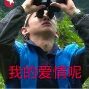 吃呆血
