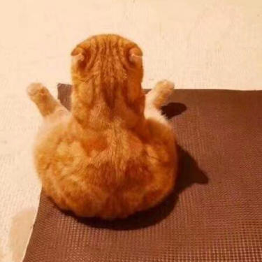 谁拿了我的橘子