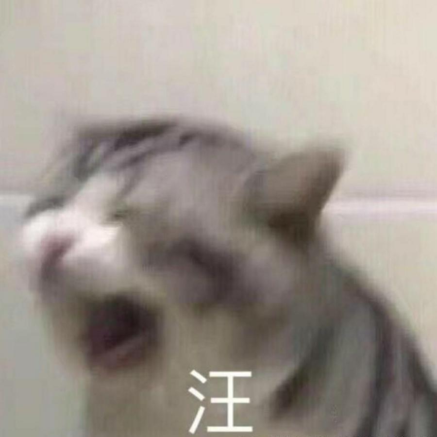 汤普森的小飞象