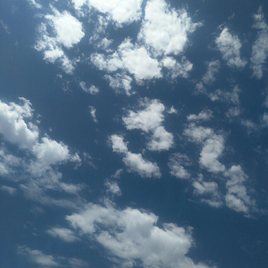 在白与黑之间穿梭