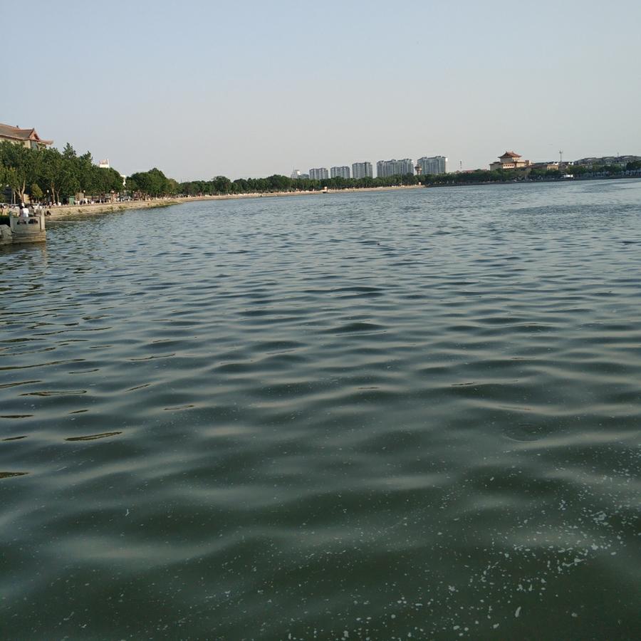 dd164246862