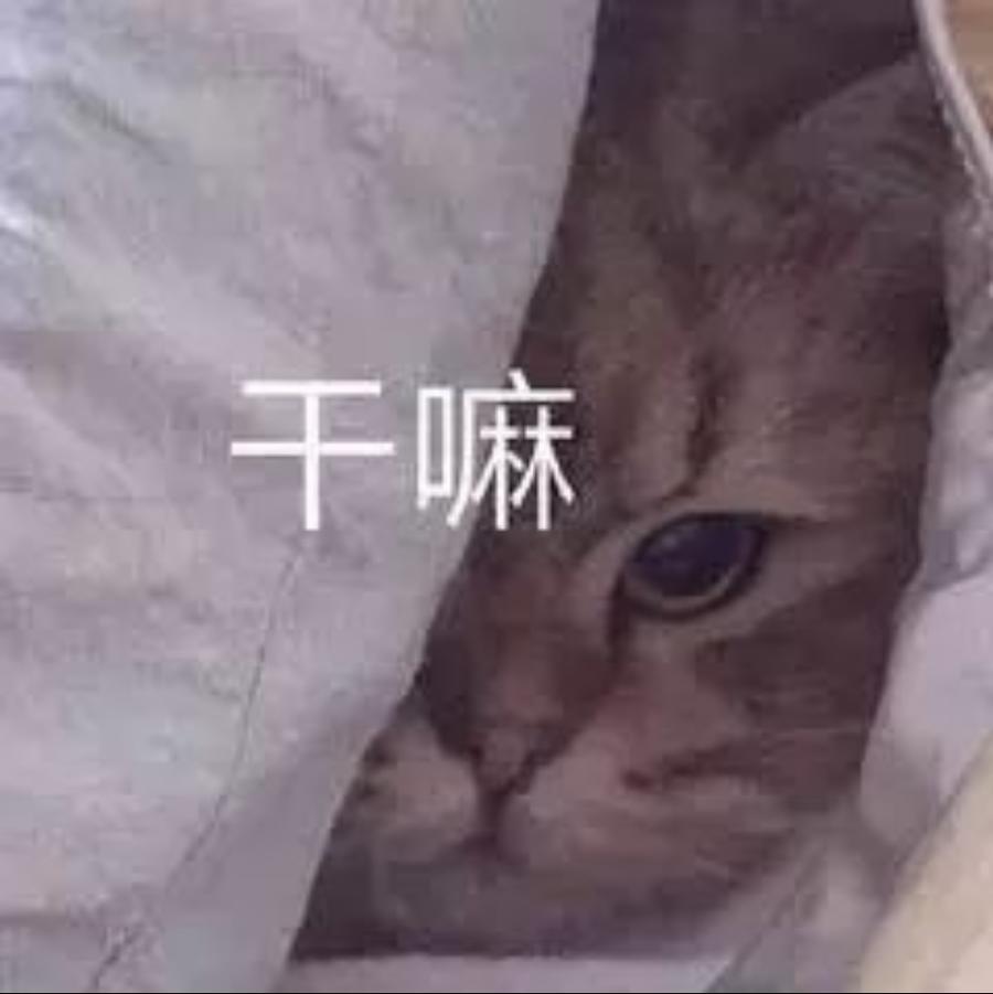 拔刀相向_