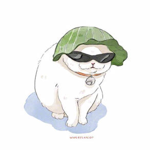 小白很乖