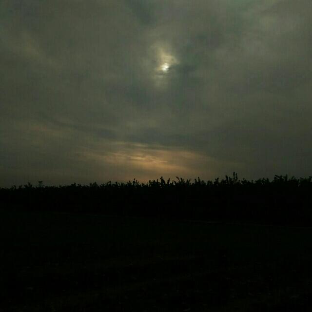 百灯明