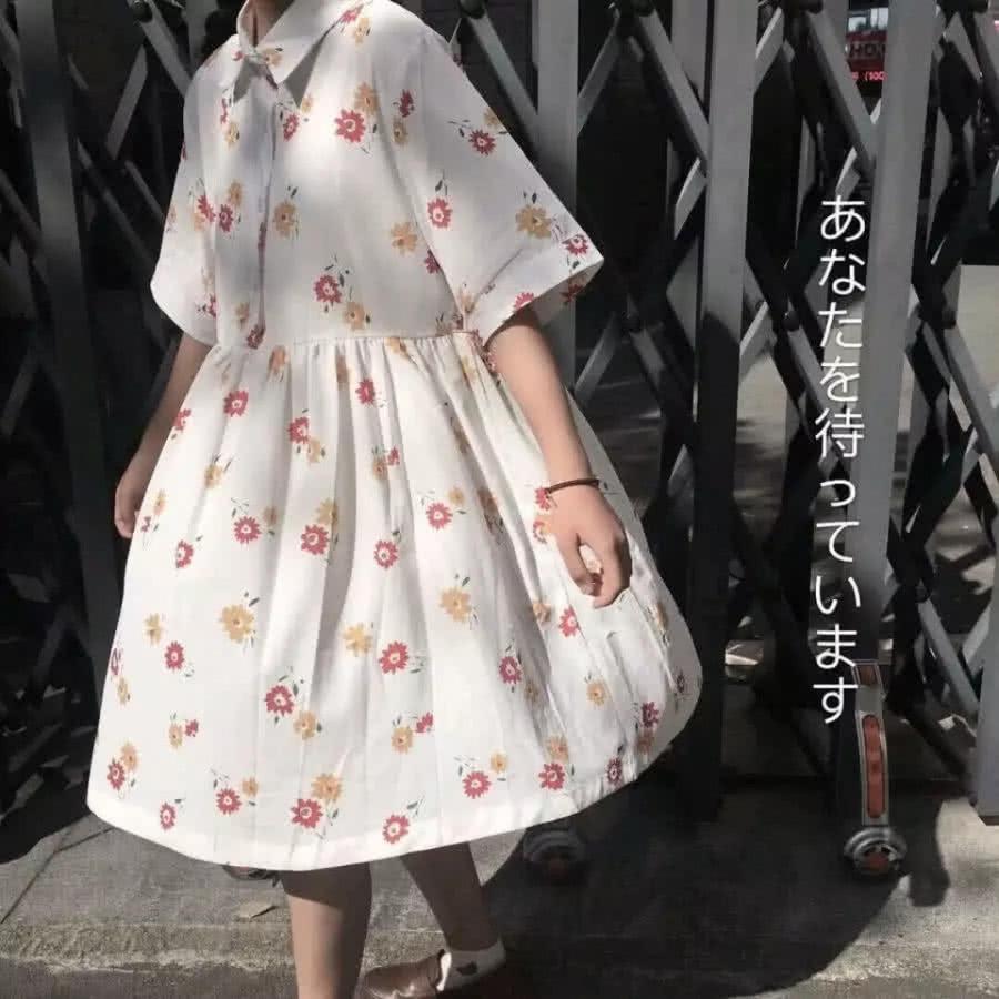 洽洽♡