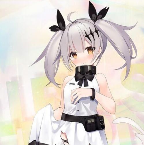 FN-大白貂