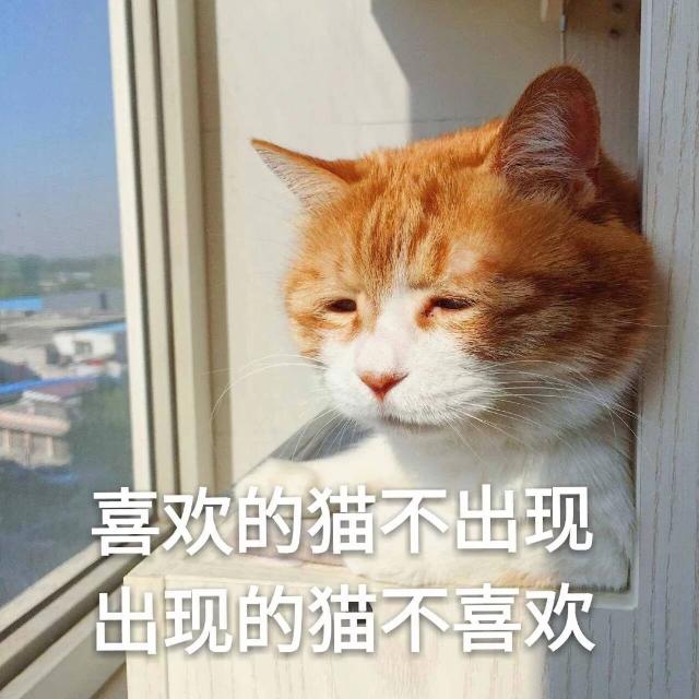 要命呀