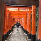 蝴蝶跳跳