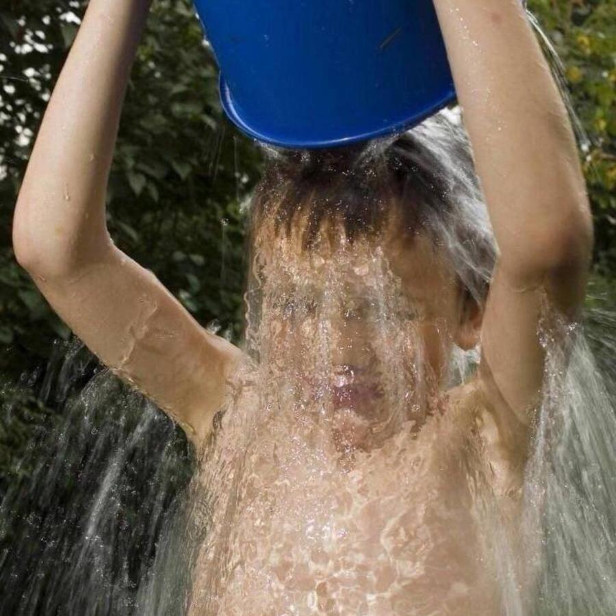 想天天吃哈密瓜