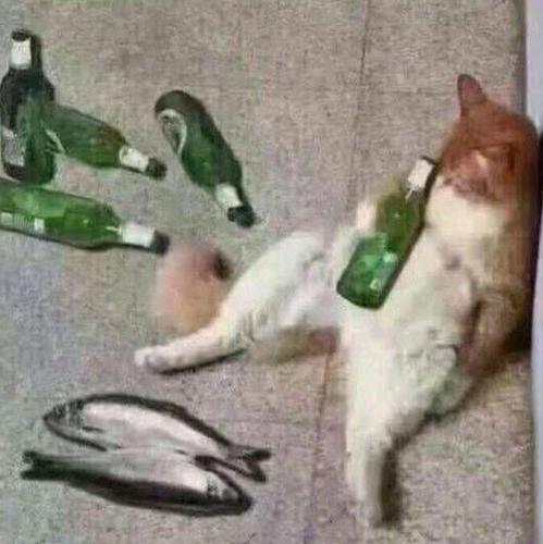苏临，幸识