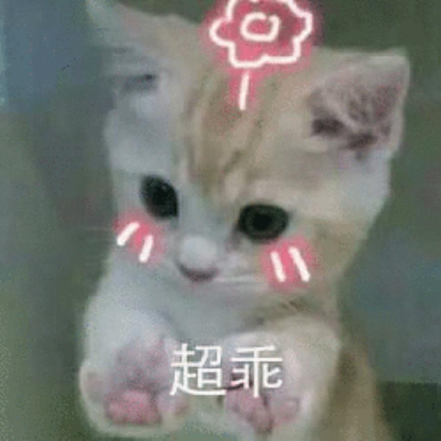 南城梦落