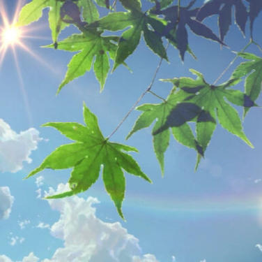 海兰ZR