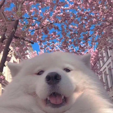 教主！！！
