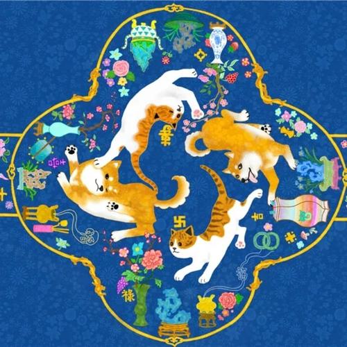 观微123