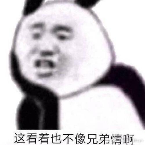 不怕张起灵的小尸蟞