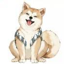 阿coo